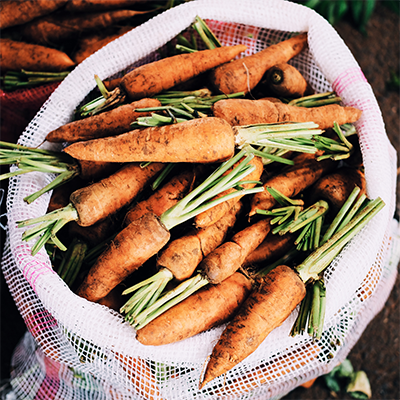 Automating Food Processing Systems